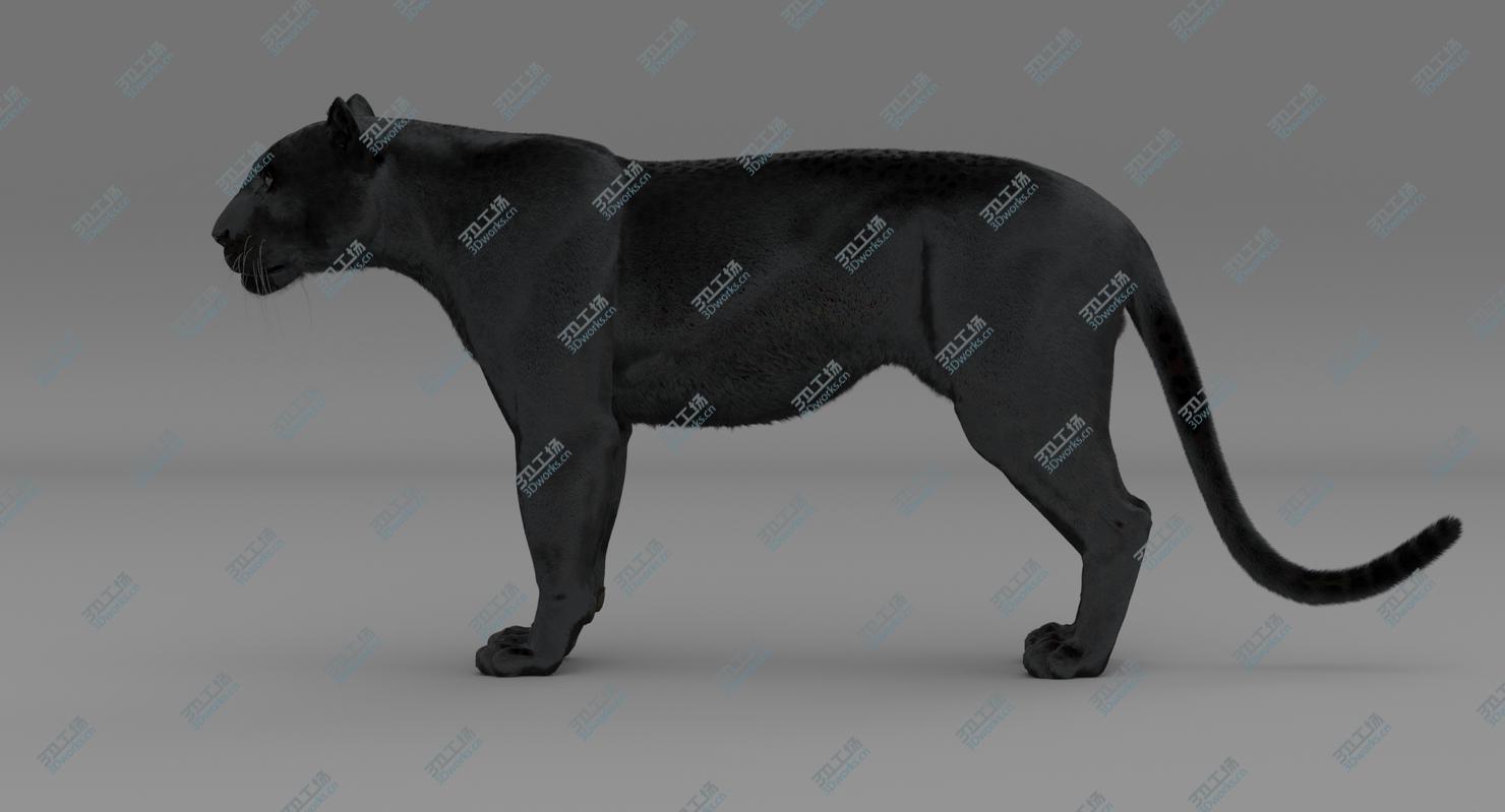 images/goods_img/2021040161/Black Panther (Rigged-Fur) 3D model/2.jpg